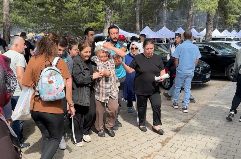 Şenlikte ağaçtan düşen dal yaşlı kadını yaraladı