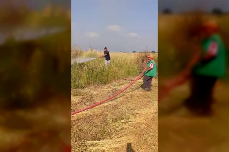 Şerare yapan elektrik telleri yangına sebep oldu
