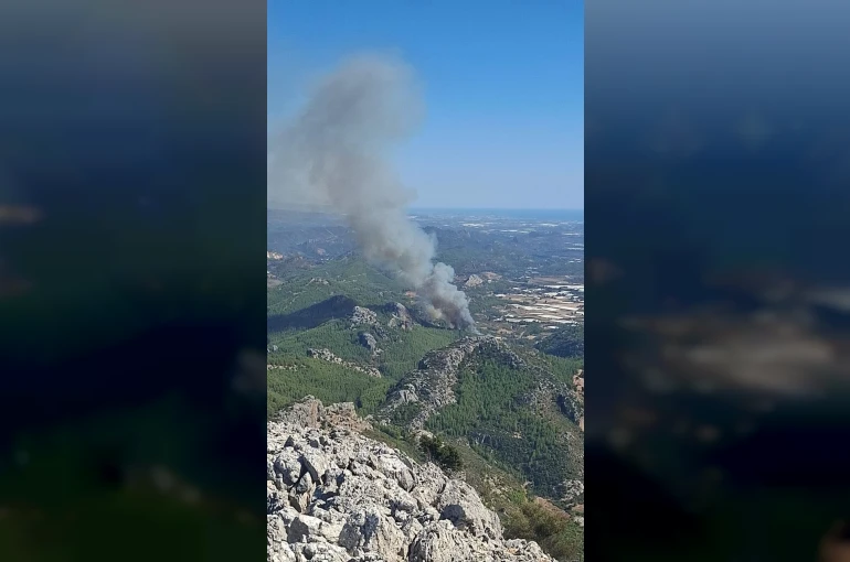 Serik’te ormanlık alanda yangın