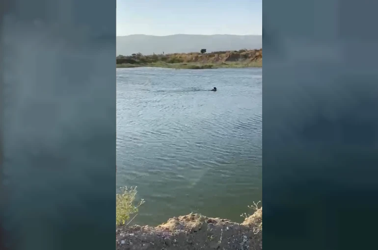 Serinlemek için girdiği göletten cansız bedeni çıktı 
