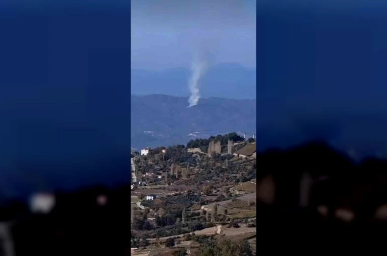 Seydikemer’de orman yangını