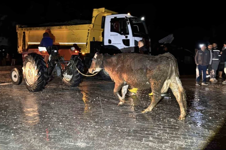 Seydikemer’de su baskını: Evler tahliye edildi