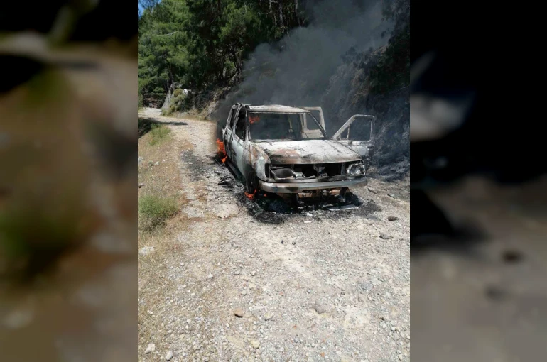 Seyir halindeki araçta çıkan yangın, ormanlık alana sıçradı