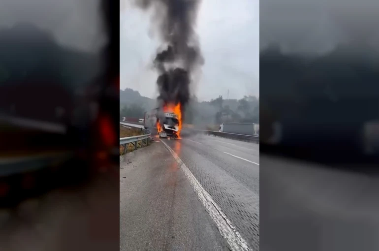 Seyir halindeki tır alev alev yandı