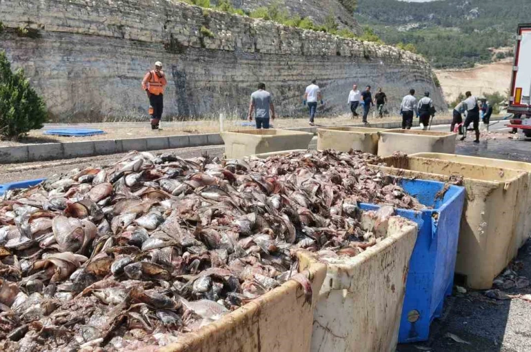 Seyir halindeki tırın dorsesi patladı, 15 ton balık atığı yola saçıldı