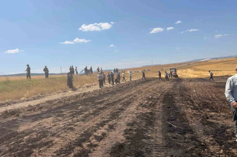 Seyitgazi ilçesinde bir yangın daha