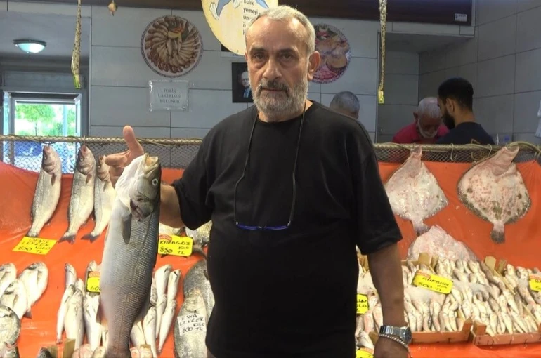 Sezon açıldı, tezgahlarda hamsi ve istavrit bolluğu