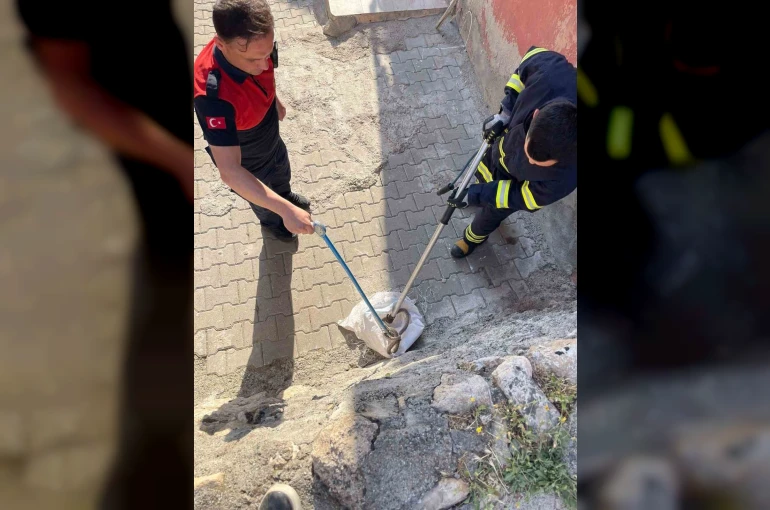Siirt’te 1 buçuk metrelik yılan evin bahçesinden çıktı
