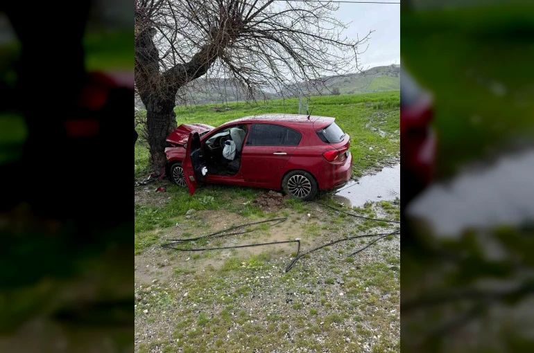 Siirt’te ağaca çarpan otomobilin sürücüsü yaralandı