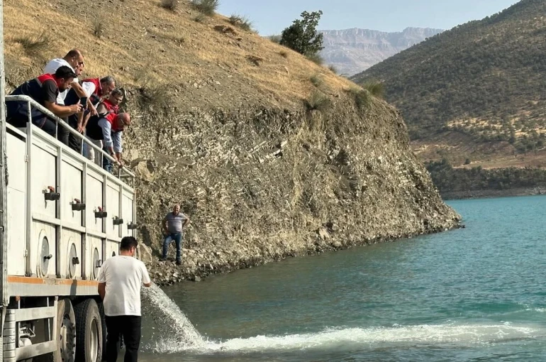 Siirt’te baraj gölü balıklandırıldı