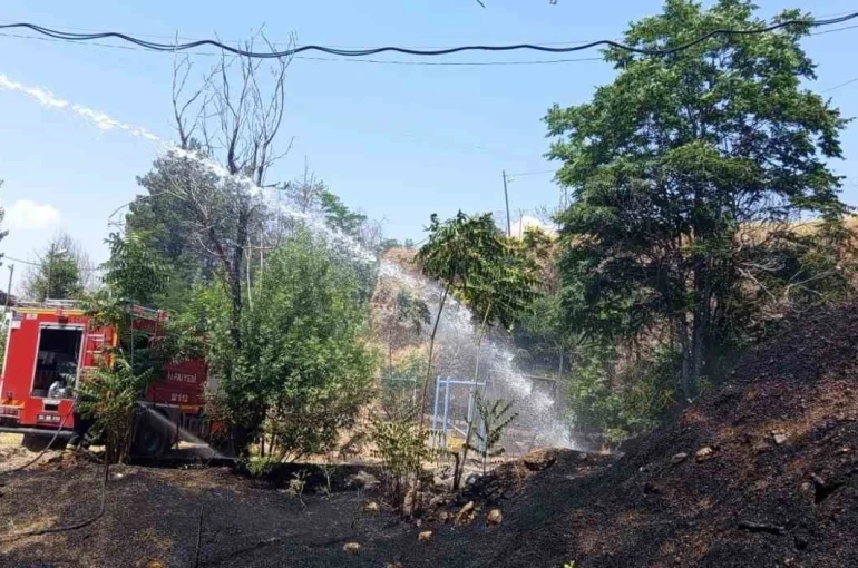 Siirt’te iş makinesinden çıkan kıvılcımı otluk alanı yaktı