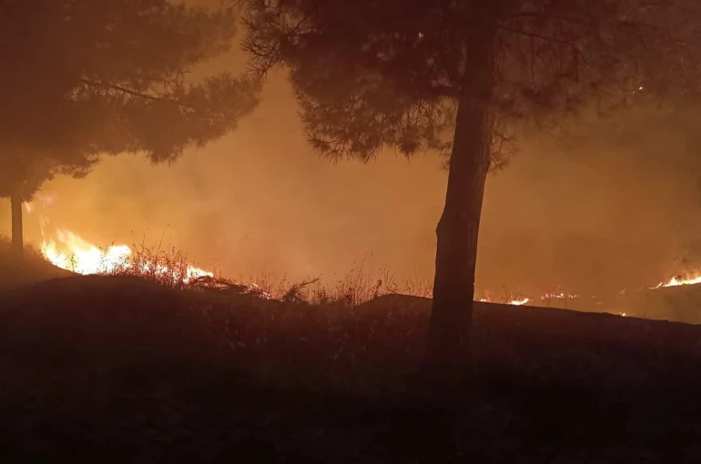 Siirt’te mezarlıkta çıkan yangın itfaiye ekiplerince söndürüldü