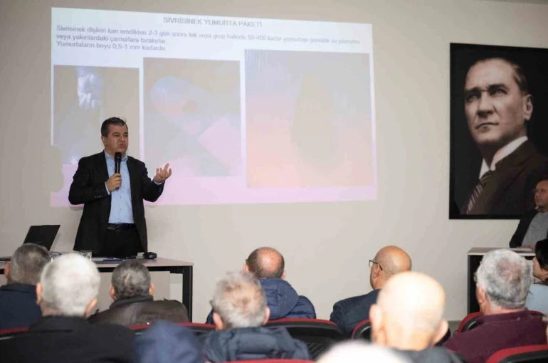 Silifke’de haşereyle mücadele için iş birliği çağrısı