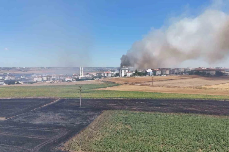 Silivri’de rüzgarla büyüyen yangında alevleri kontrol altına alma çalışmaları devam ediyor