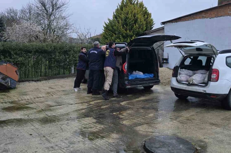 Silivri’de satışa hazır 306 kilo at eti ele geçirildi