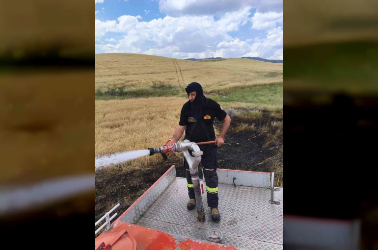 Silvan’da 2 dönümlük ekili alan kül oldu