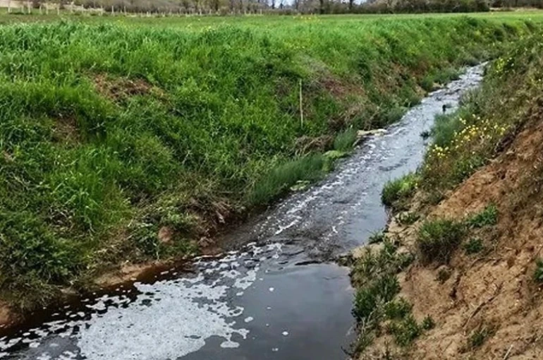 Sinop’ta çevreyi kirleten tesise 1.6 milyon TL ceza