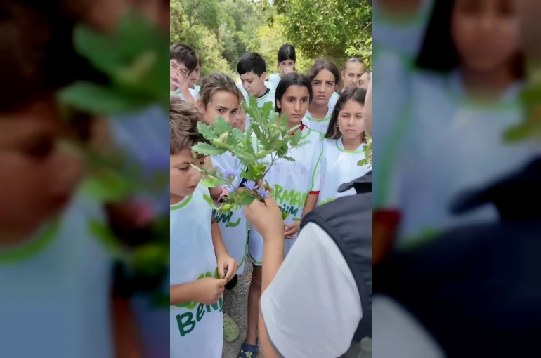 Sinop’ta minik sporculara orman sevgisi aşılandı