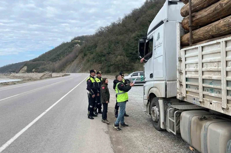 Sinop’ta ormanlara koruma kalkanı