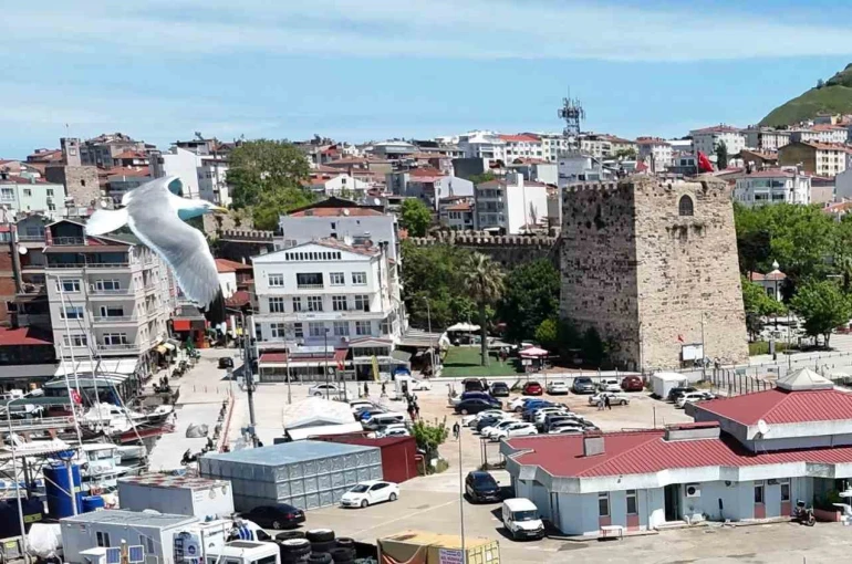 Sinop’ta trafiğe kayıtlı araç sayısı 87 bin 412 oldu: Motosiklet ilk sırada