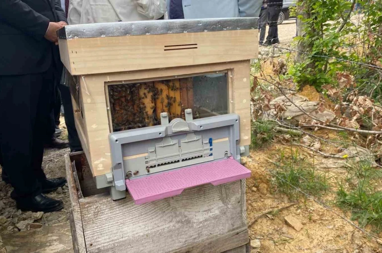 Sinop’ta Türkiye’nin 913’üncü bal ormanı hizmete açıldı