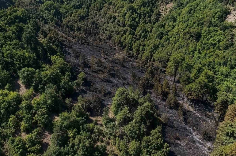 Sinop’taki orman yangını kontrol altına alındı