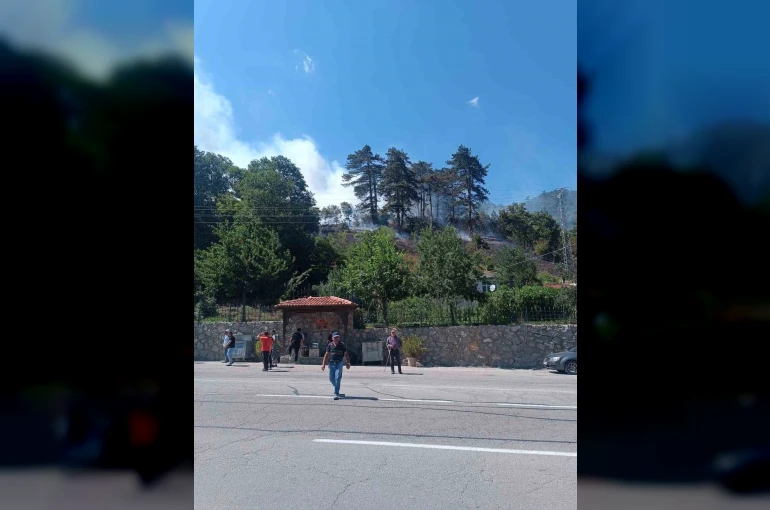 Sinop’taki orman yangınıyla ilgili 1 kişi gözaltında