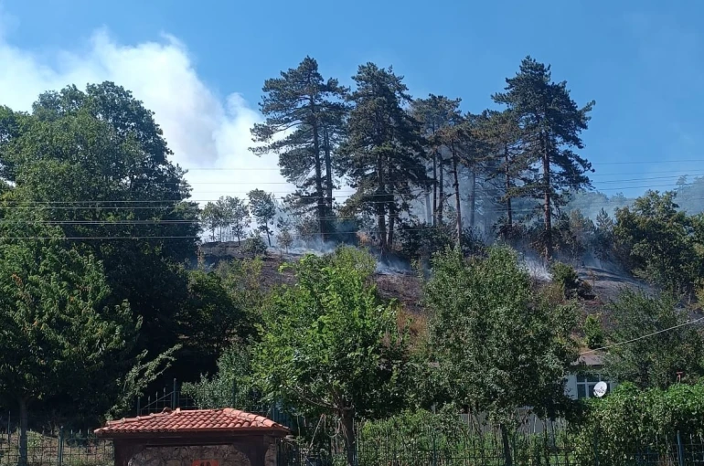 Sinop’taki orman yangınıyla ilgili 1 kişi tutuklandı 