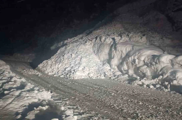 Şırnak yoluna çığ düştü, karayolu 2 saat ulaşıma kapandı