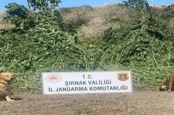 Şırnak’ta 11 milyon liralık kaçakçılık olayı önlendi 