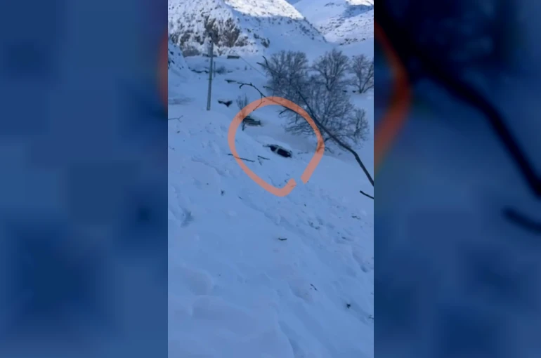 Şırnak’ta 5 kişinin yaşadığı eve çığ düştü