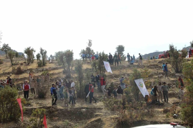 Şırnak’ta "Adliye Hatıra Ormanı" kuruldu