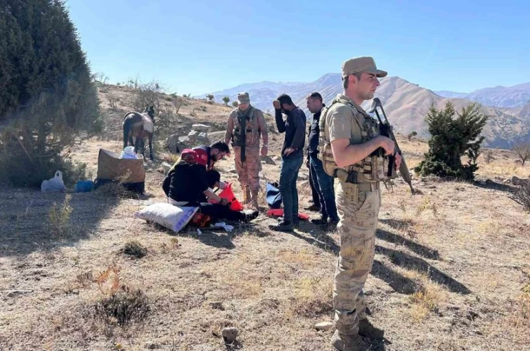 Şırnak’ta attan düşen kadın yaralandı