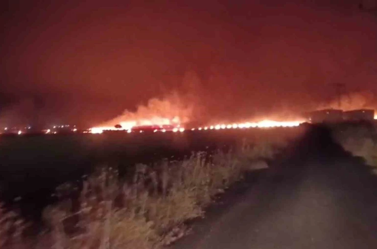 Şırnak’ta çıkan yangında 300 dönümlük alan küle döndü