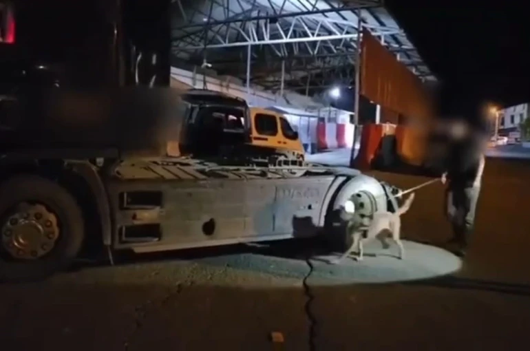 Şırnak’ta zehir yüklü tır uygulama noktasında yakalandı