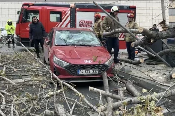 Şişli’de ağaç, park halindeki aracın üzerine devrildi 