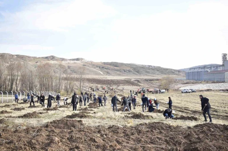 Sivas OSB’de yeşil dönüşüm binlerce fidan toprakla buluşuyor