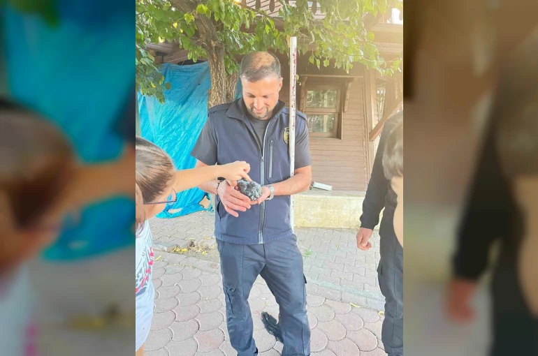 Sivas’ta boruya sıkışan kuşu itfaiye kurtardı