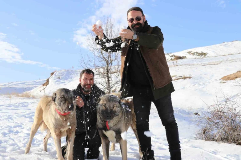 Sivas’ta kar yağdı, kangallar özüne döndü