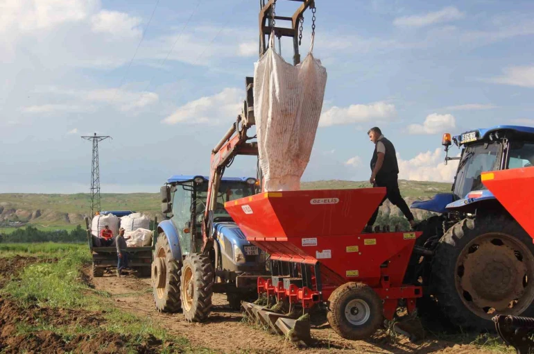 Sivas’ta patates ekim sezonu başladI, hedef 75 bin ton