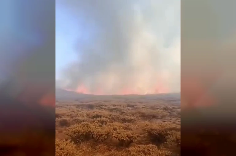 Siverek Karacadağ’da yangın