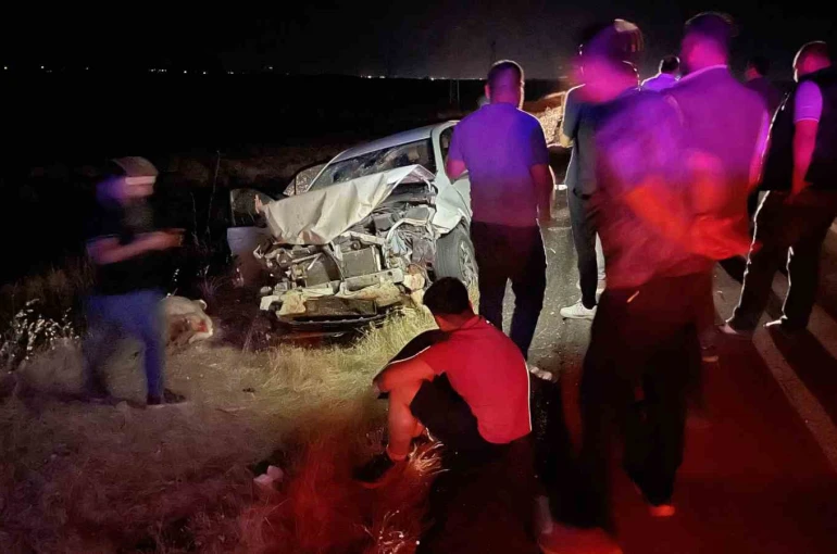Siverek’te otomobil koyun sürüsüne daldı: 3 kişi yaralandı, 11 koyun telef oldu
