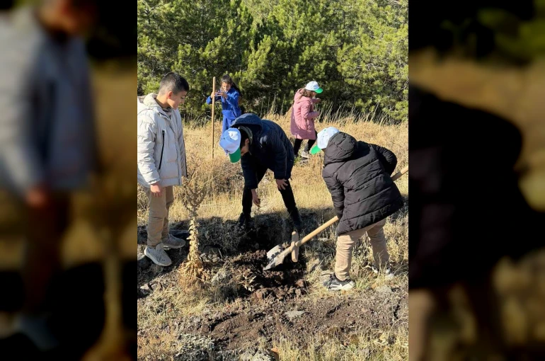 Sivrice’de fidan dikme etkinliği düzenlendi 