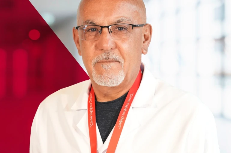 Sivrisinek kaynaklı chikungunya virüsüne karşı uyarı