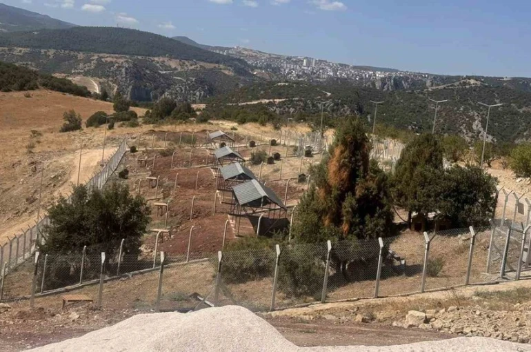 Sokak Hayvanları Doğal Yaşam Alanı’nı ruhsatsız çıktı