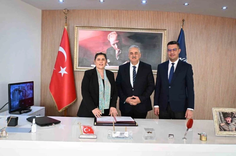Sokak hayvanları için doğal yaşam alanı oluşturulacak