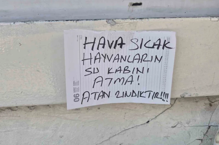 Sokak hayvanlarının su kabını atanlara ilginç tepki: "Atan zındıktır"