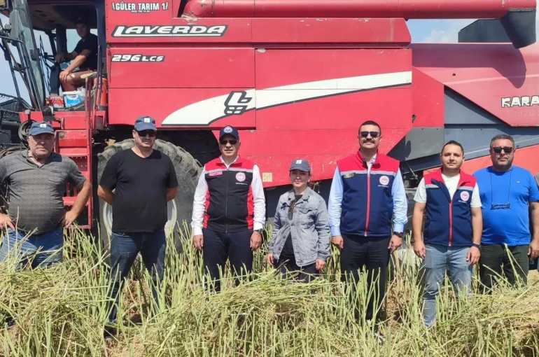 Söke’de kanola hasadı gerçekleştirildi