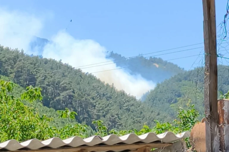 Soma’daki orman yangınına müdahale devam ediyor