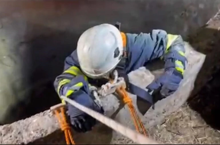 Su kuyusuna düşen çakalı itfaiye ekipleri kurtardı